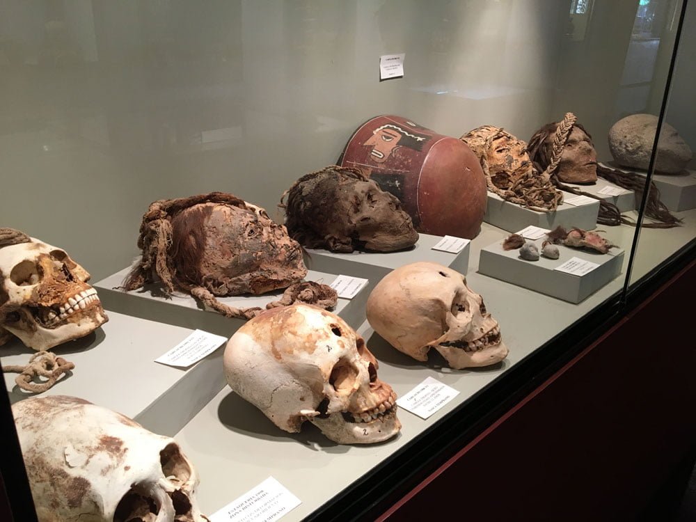 Peru Nazca Antonini Museum Exhibit