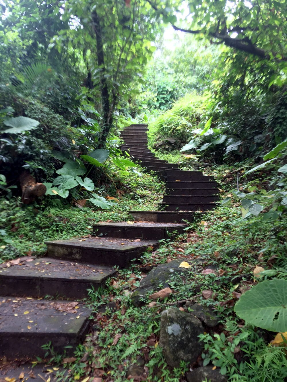 Guishandao 401 Peak Steps