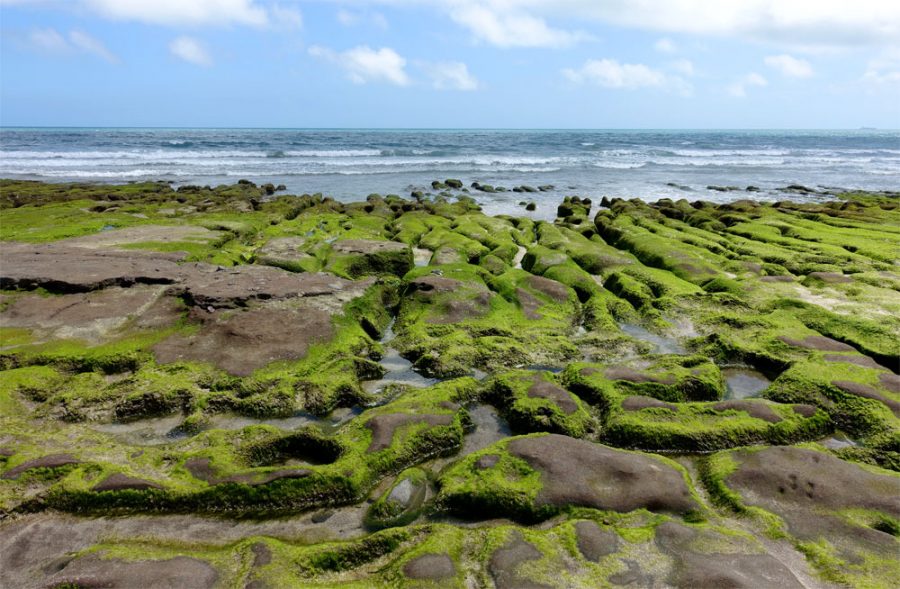 Laomei Green Reef Rocks