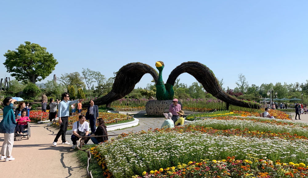 Suncheon Bay Gardens Duck