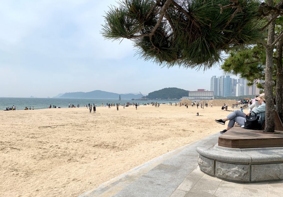 Busan Haeundae Beach Shade