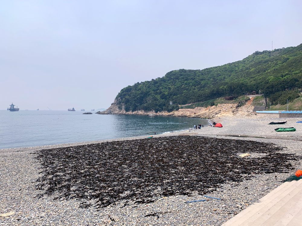 Busan Taejongdae Beach Drying