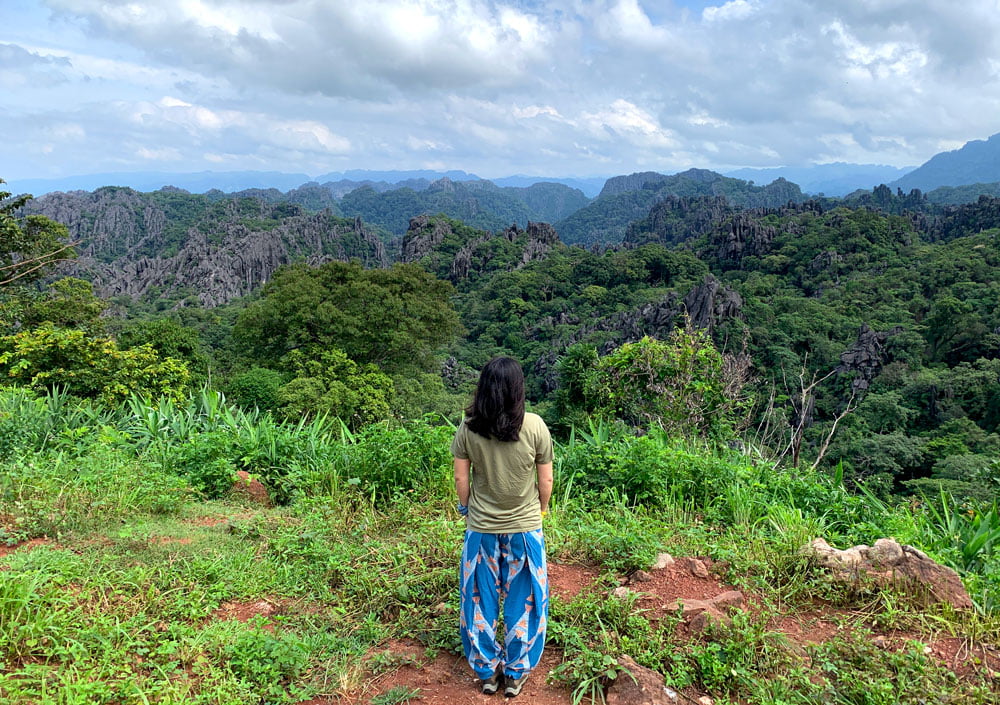 Laos Na Hin Limestone Forest Me