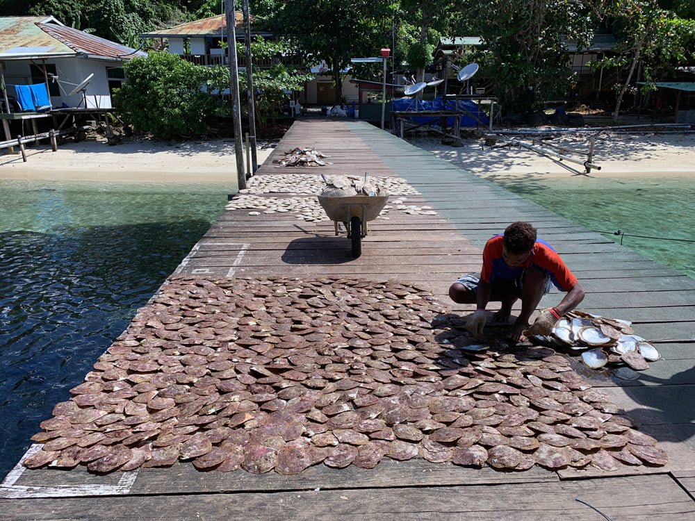 Raja Ampat Pearl Farm Shell Drying