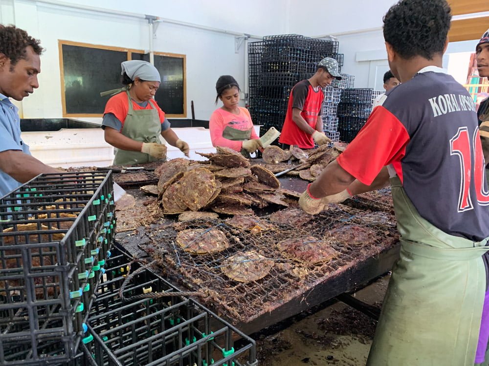 Raja Ampat Pearl Farm Sorting