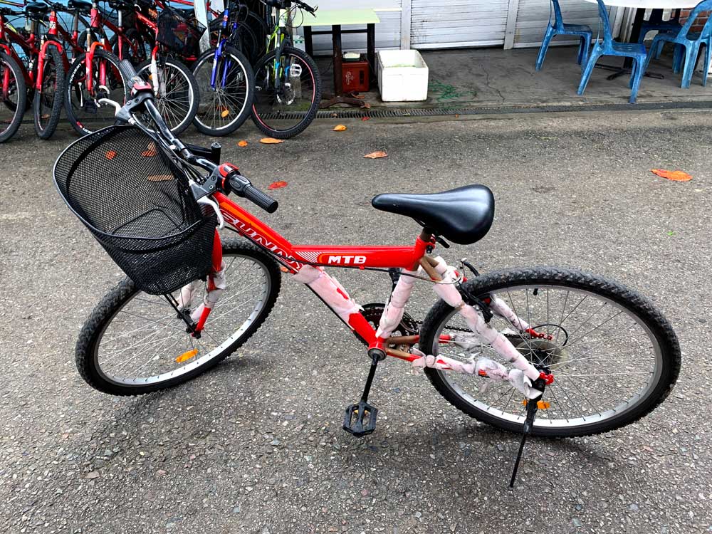 My first bike had a basket and only cost me $5