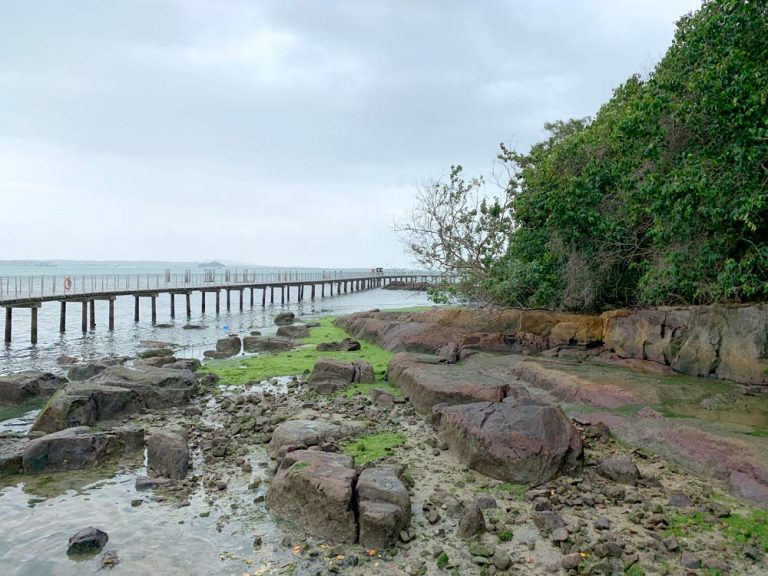 Pulau Ubin Chek Jawa Boardwalk Coastal