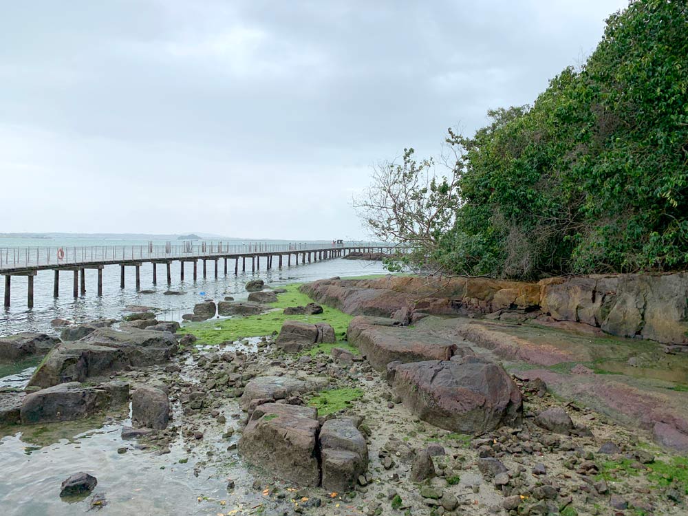 The Coastal Boardwalk extends over the water and intertidal areas