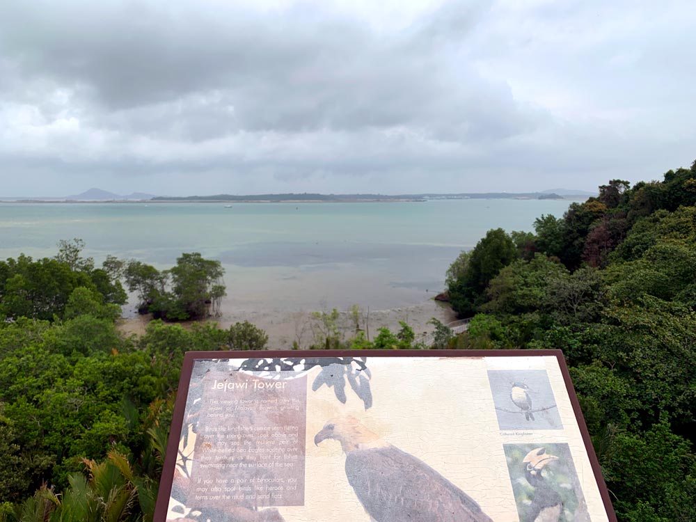 View from the top of Jejawi Tower lets you look out at the sea and over the treetops