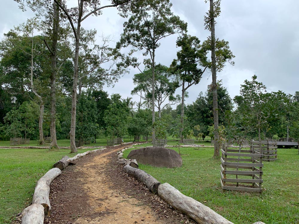 A circular dirt path is lined with tree trunks and various fruit trees