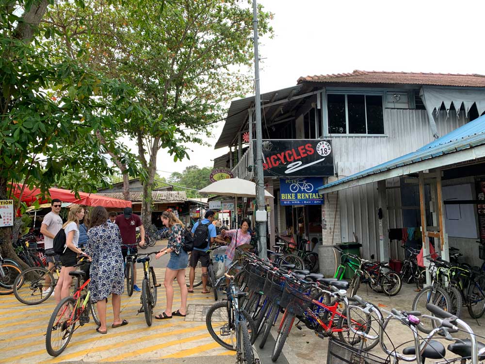 I recommend checking out Bicycle18 for your bike rentals on Pulau Ubin