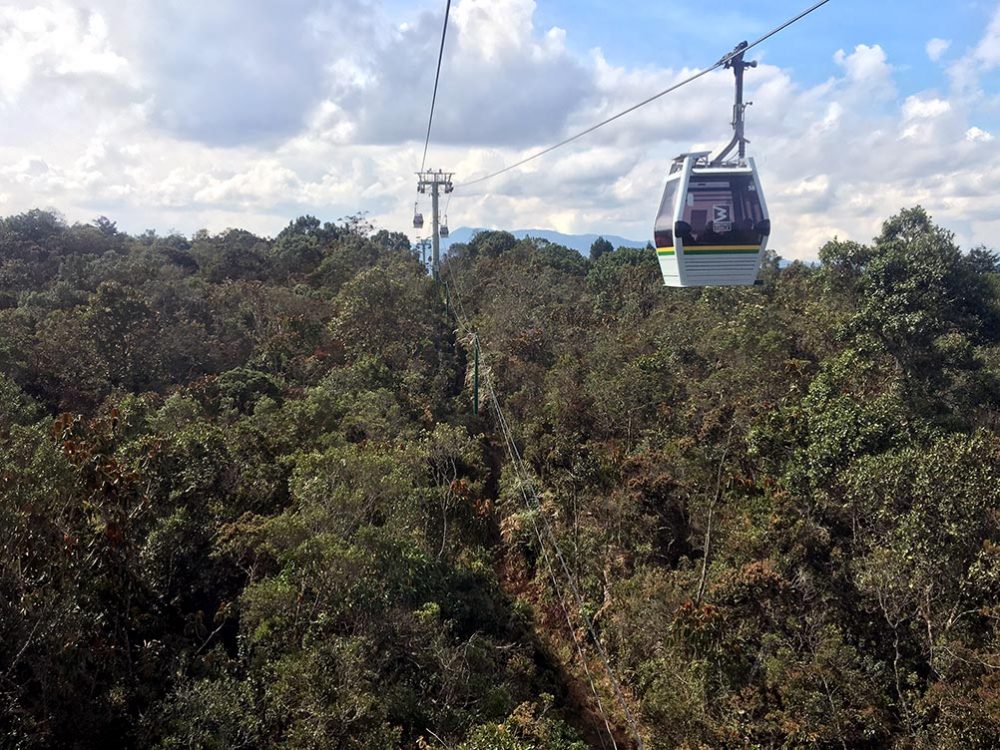 Colombia Medellin Parque Arvi Cable Car Trees