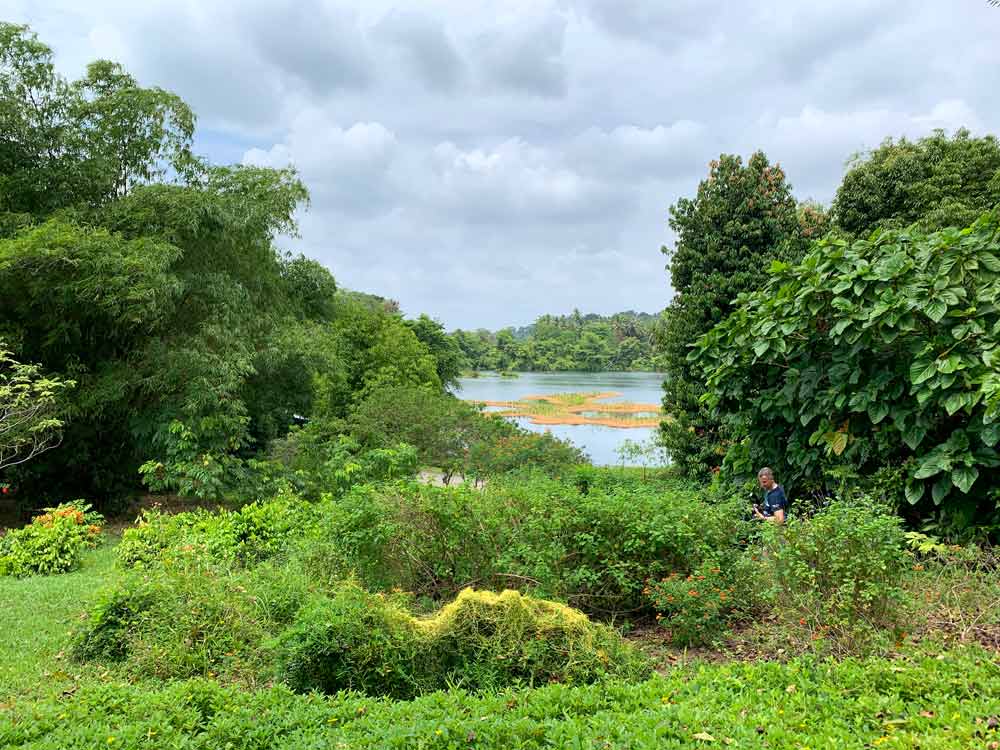 Pekan Quarry lake from Butterfly Hill