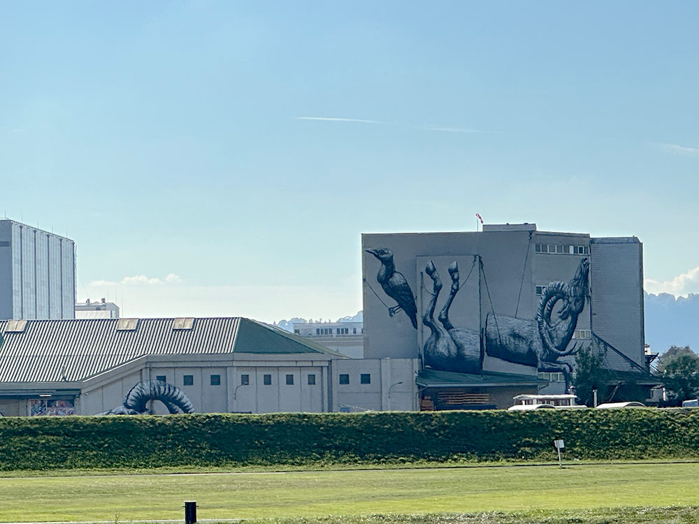 Linz Danube Cruise Mural Harbour Roa