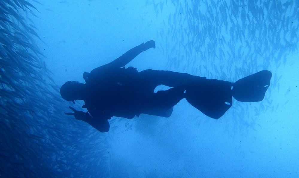 Galapagos Kicker Rock Diving Me Fish