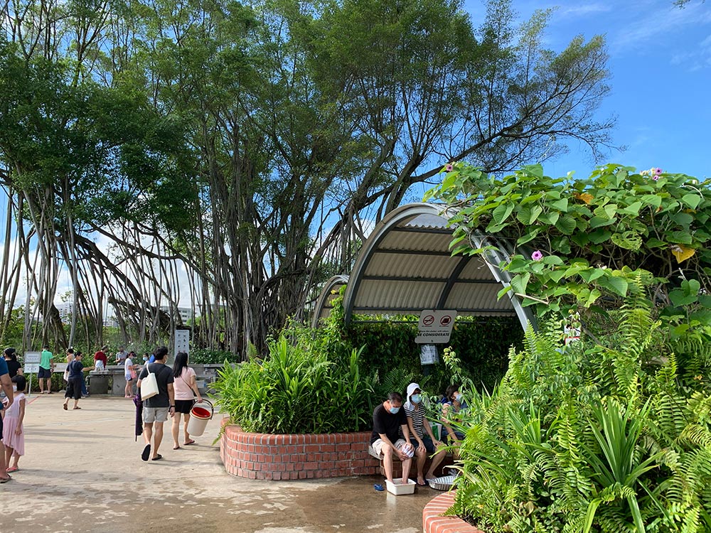 There are some shelters and seats built around the park