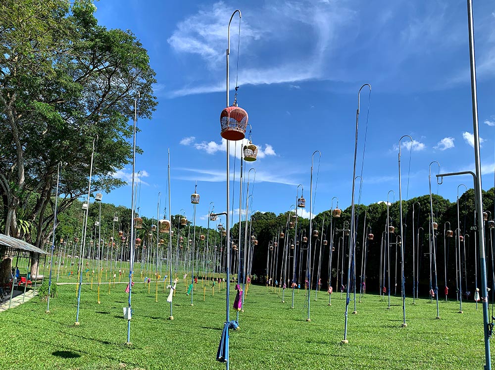 AMK Kebun Baru Bird Singing Club Poles