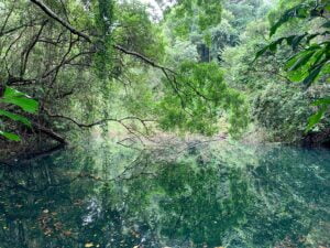 Keppel Hill Reservoir Quarry Pool