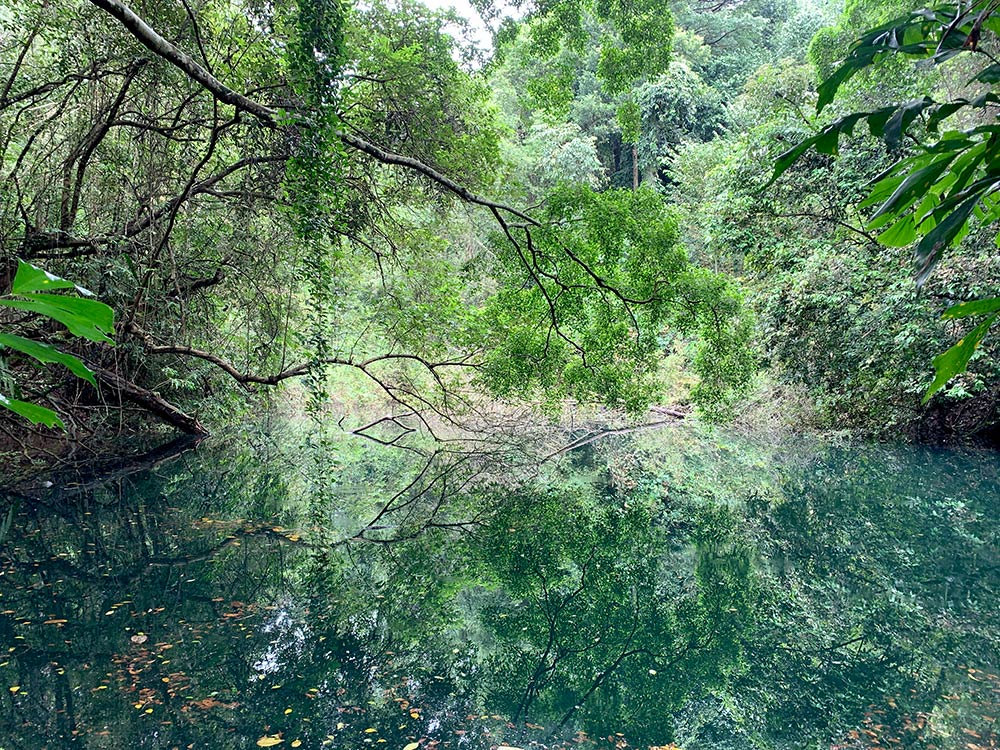 Keppel Hill Reservoir Quarry Pool