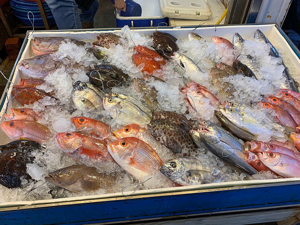 Wanli Guihou Fish Market Fishes