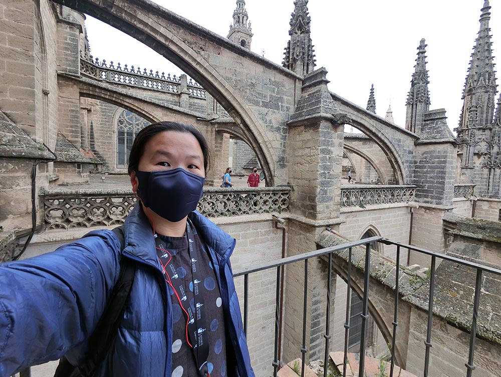 Seville Cathedral Roof Selfie Mask
