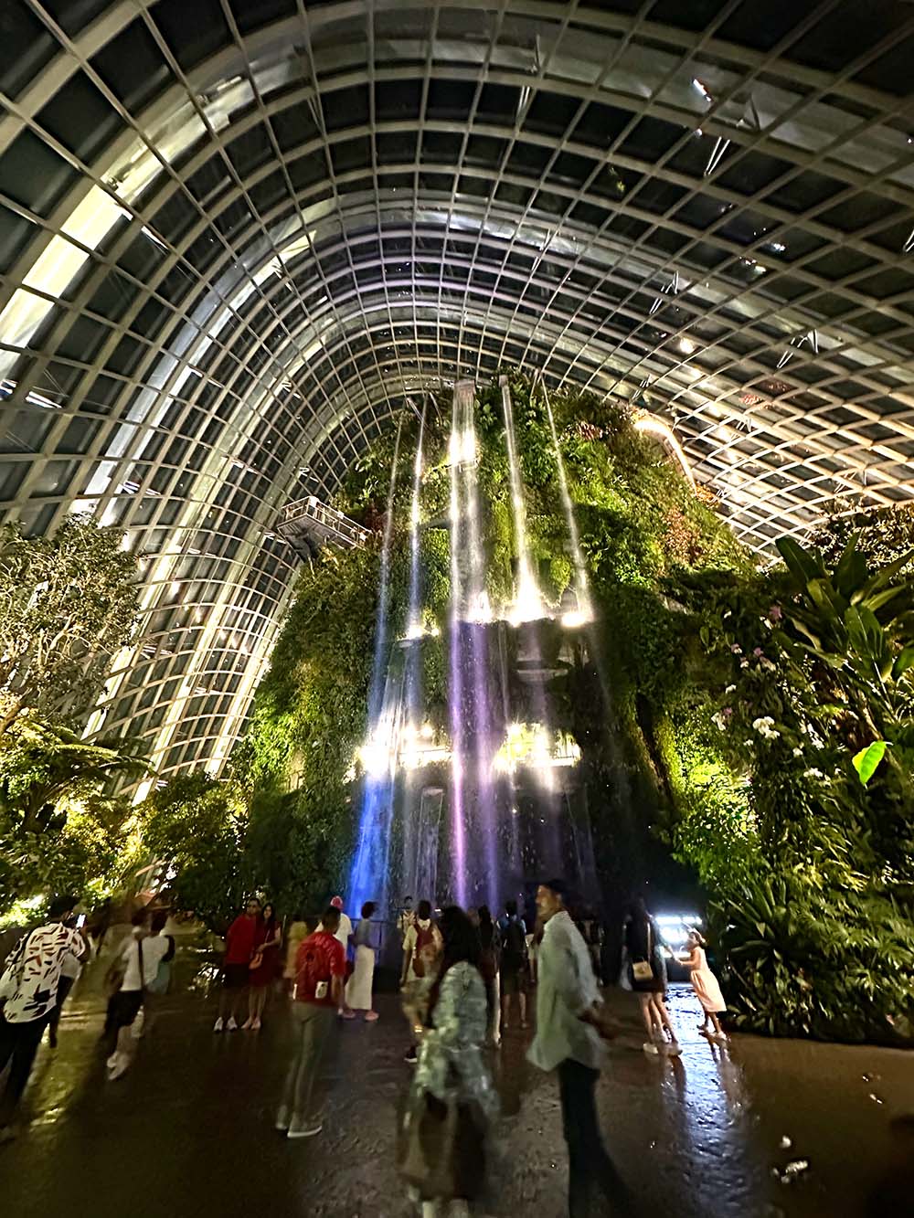 Singapore Gardens By The Bay Cloud Forest Waterfall Night