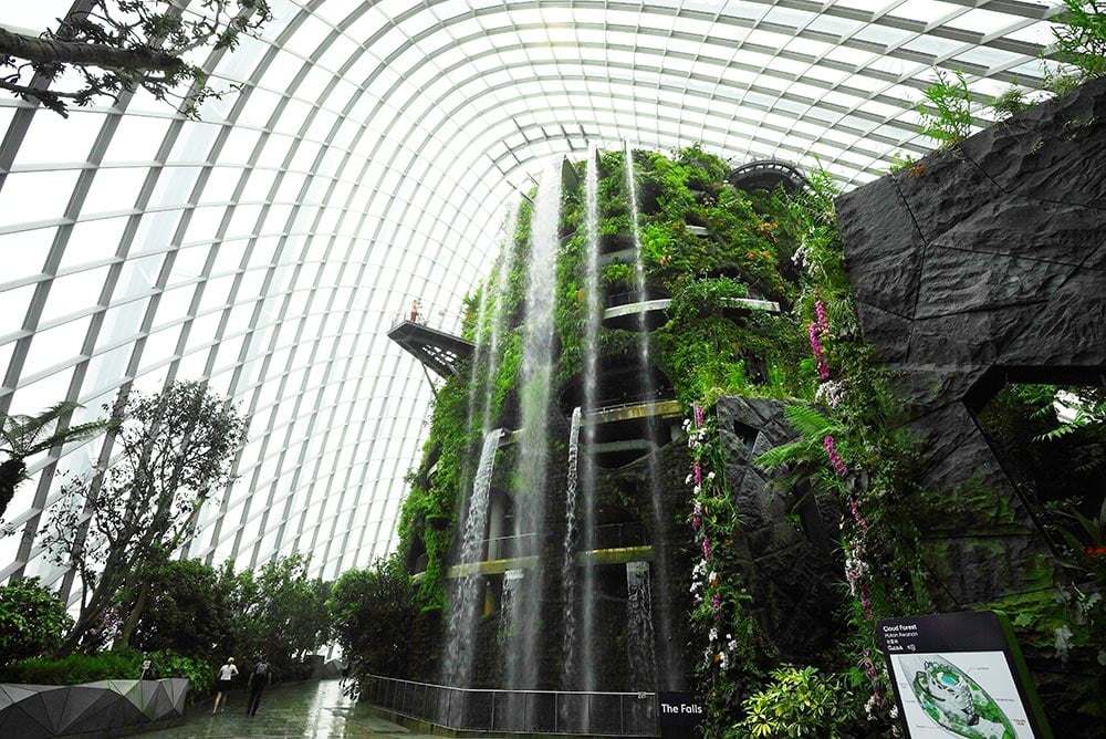 Singapore Gardens by the Bay Cloud Forest Dome Waterfall STB