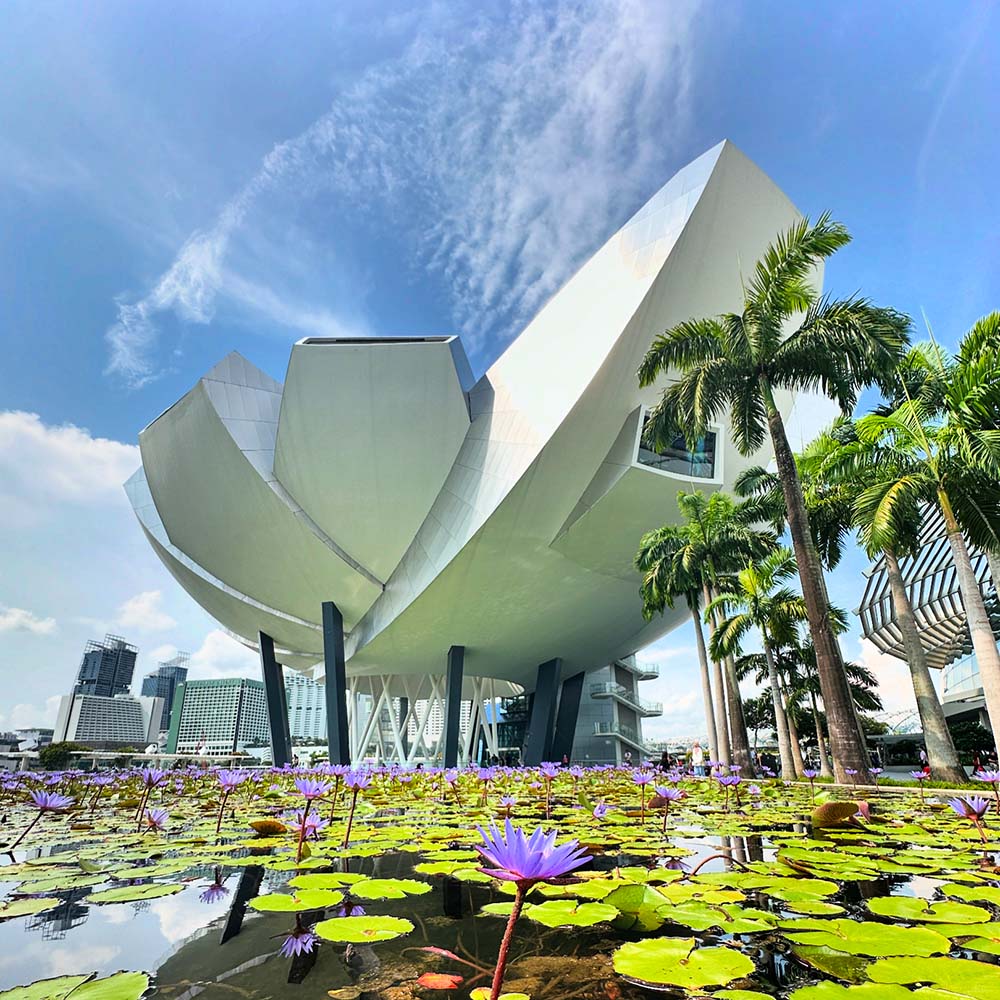 Singapore Marina Bay Sands ArtScience Museum Lotus