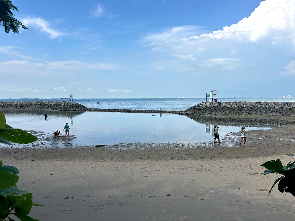 Big Sisters Island Beach Low Tide
