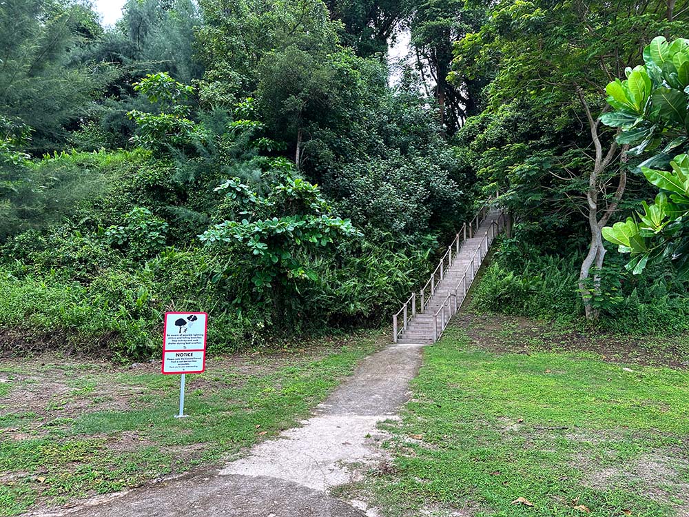 Big Sisters Island Hill Stairs