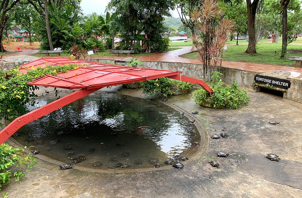 Kusu Island Tortoise Shelter