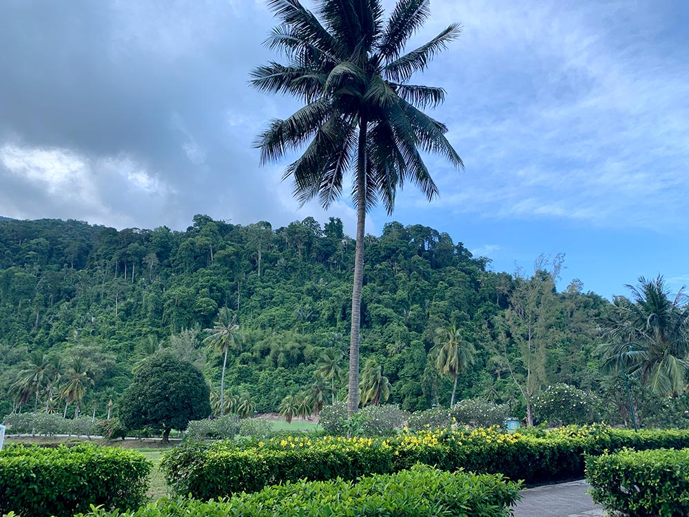 Tioman Berjaya Mountain View