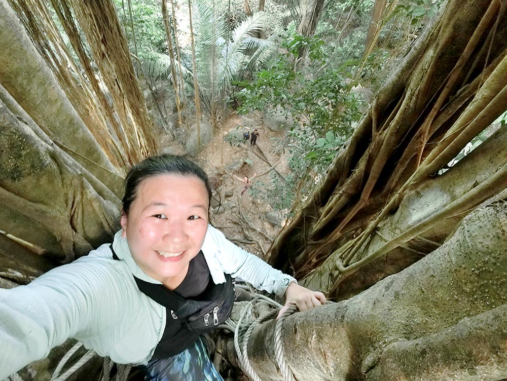 Tioman Paya Mother Willow Top Me