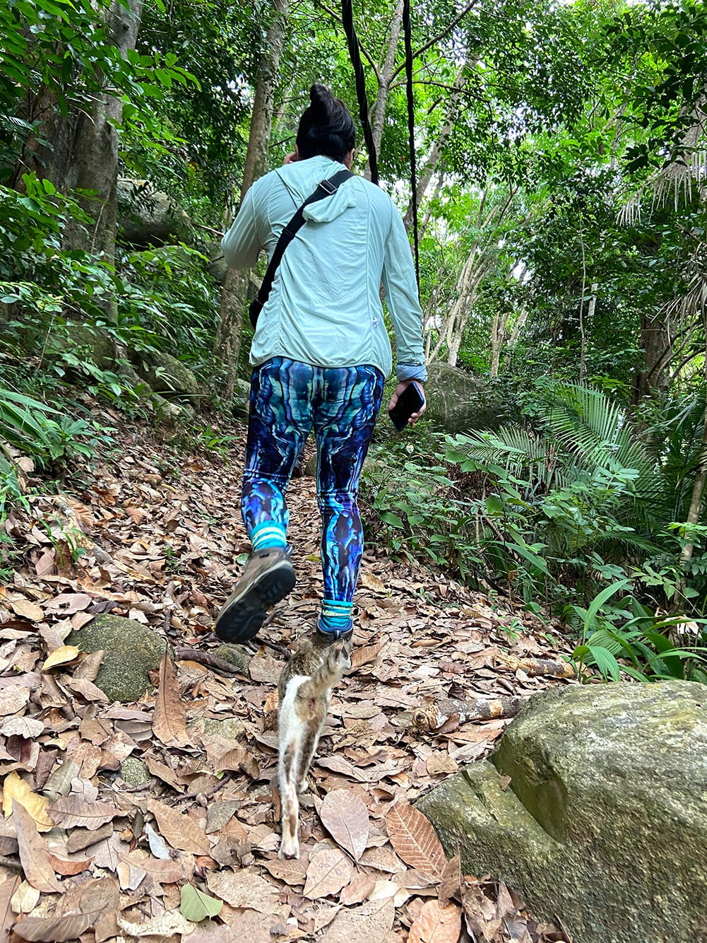 Tioman Paya Trekking Me Cat