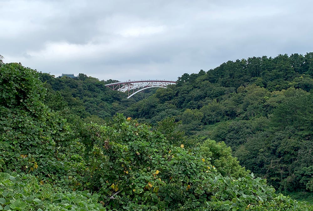 Jeju Seogwipo Cheonjeyeon Waterfall Seonimgyo Bridge Far