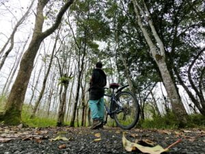 Hualien Guangfu Danongdafu Forest Me Bicycle