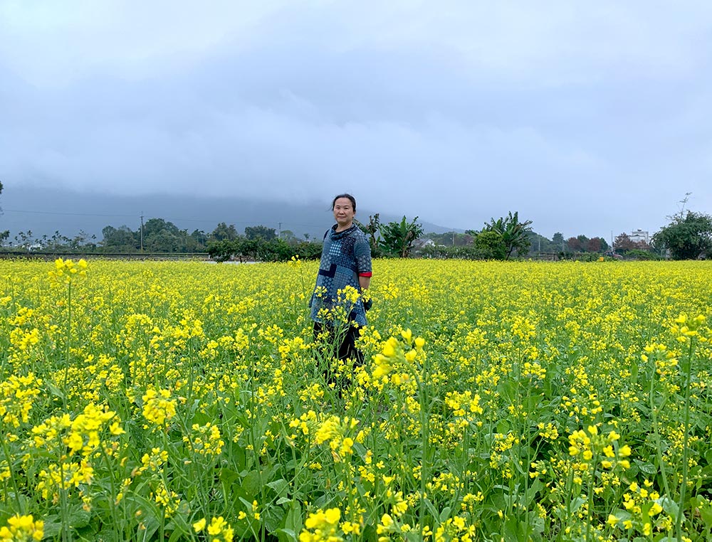 Hualien Fenglin Rapeseed Field Me