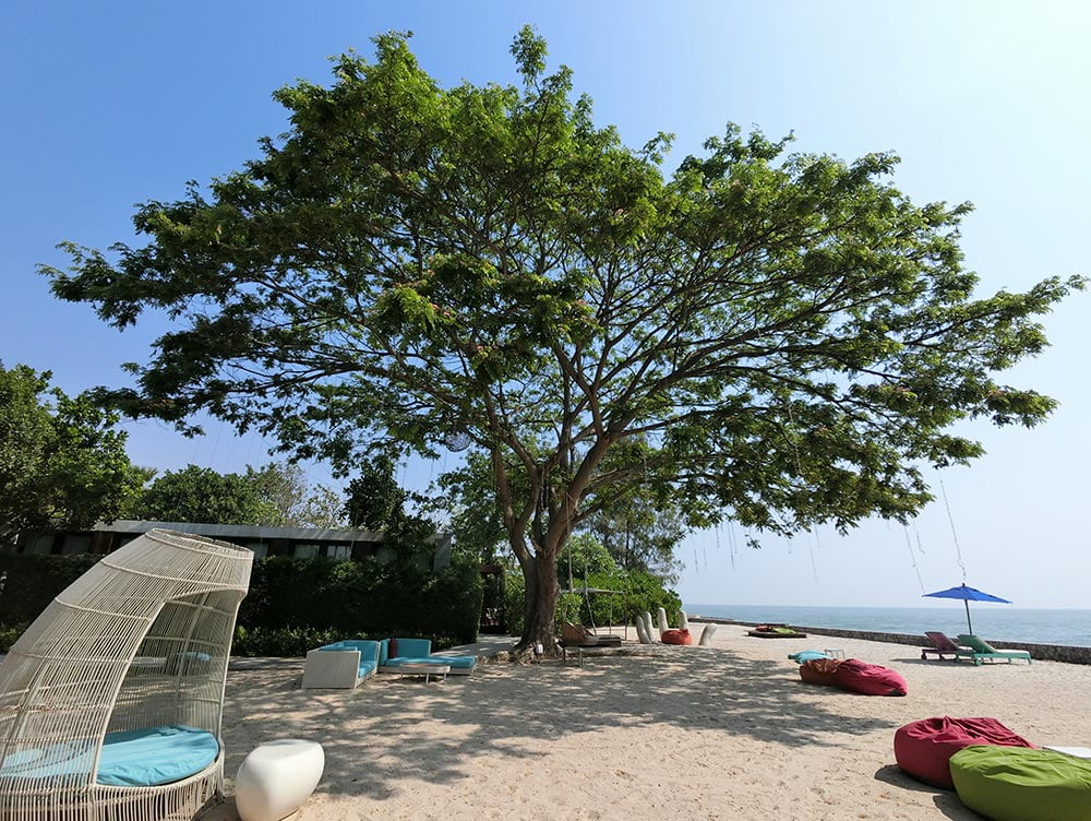 SO Sofitel Hua Hin Beach Tree