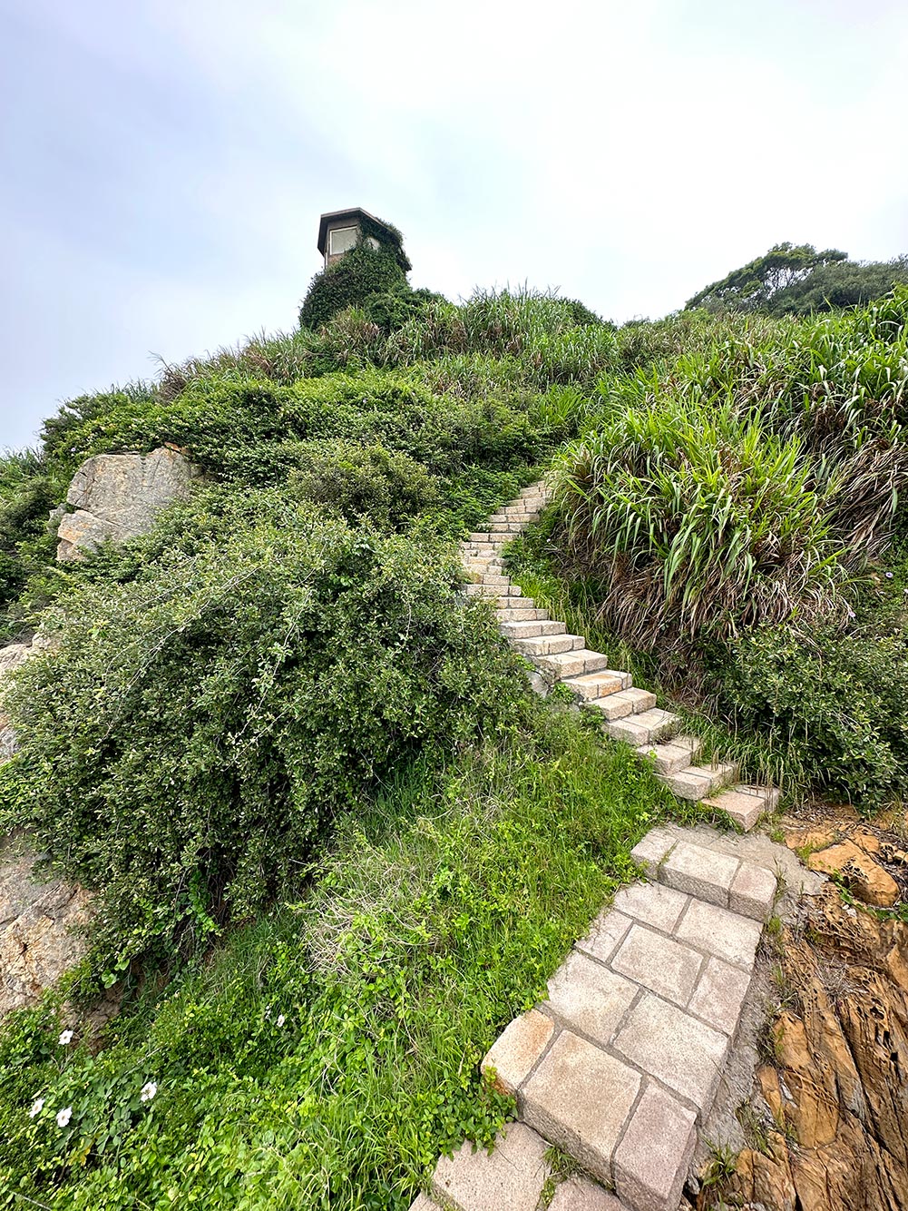 Matsu Beigan Totoro Stairs House