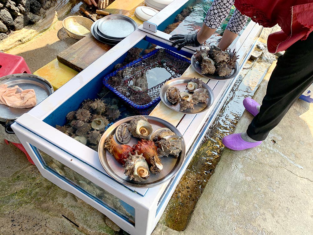 Jeju Seongsan Ilchulbong Beach Haenyeo Live Seafood Selection