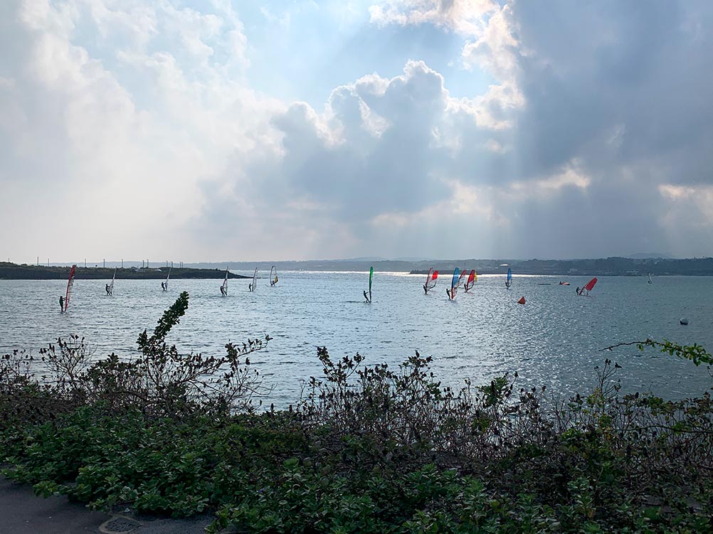 Jeju Seopjikoji Cape Windsurfers