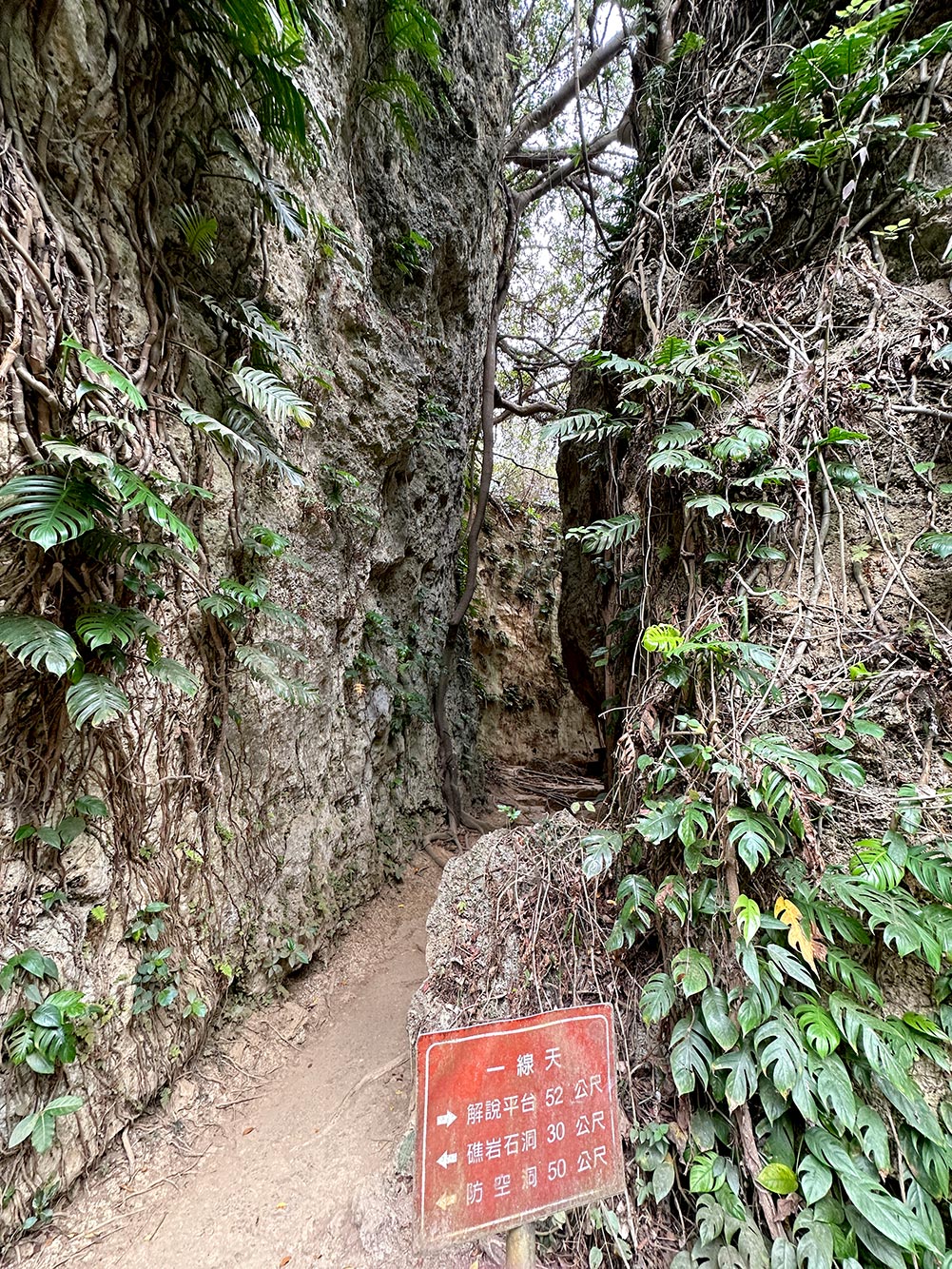 Xiaoliuqiu Sanzhu Trail Yixiantian