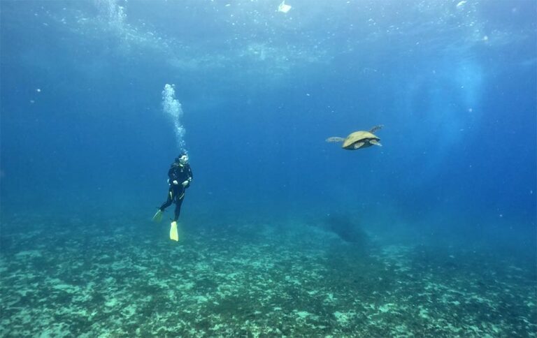 Xiaoliuqiu Scuba Diving Turtle Me