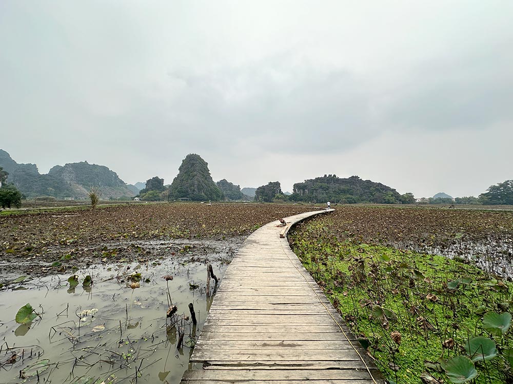 Ninh Binh Hang Mua Lotus Pond Path