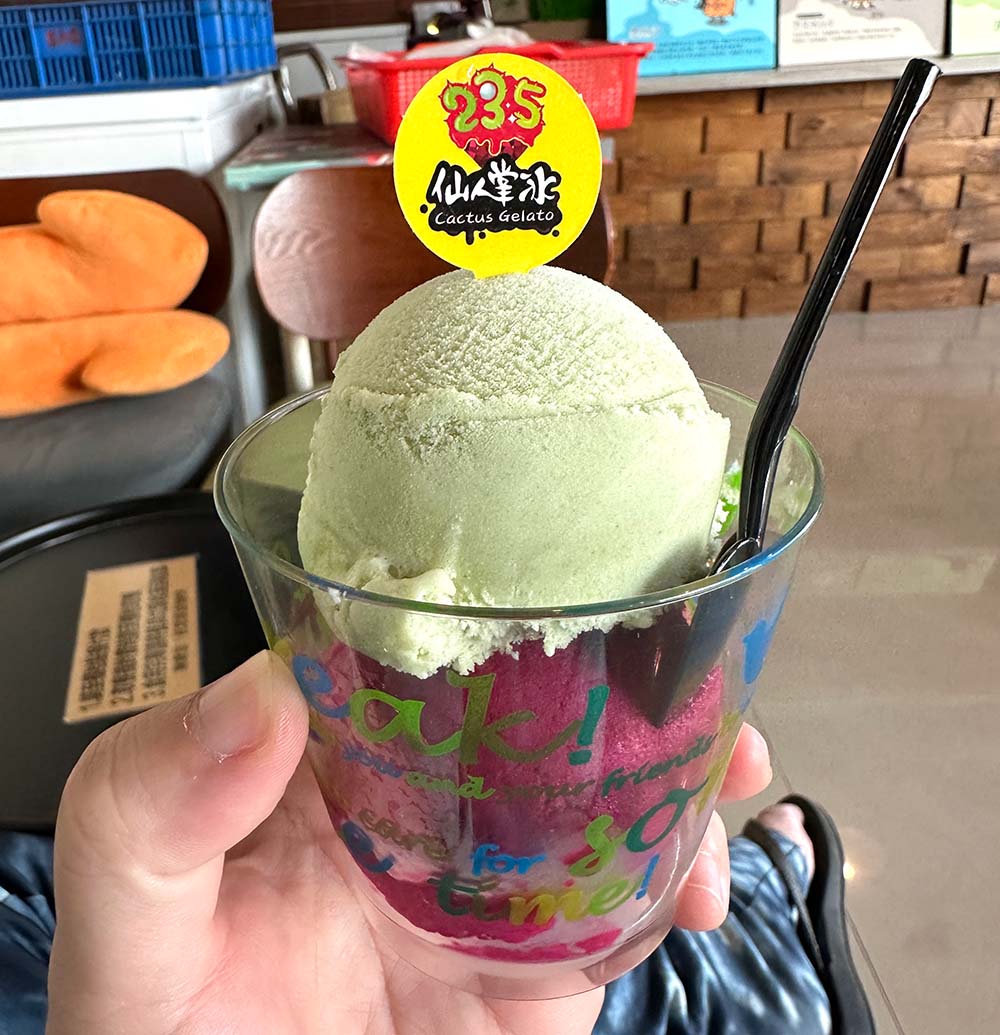 Penghu Magong 23-5 Cactus Ice Cream