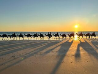 Broome Cable Beach Camel Ride Train Sunset 3