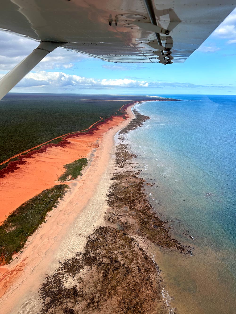 Broome Air Kimberley Coastline Red-White-Blue