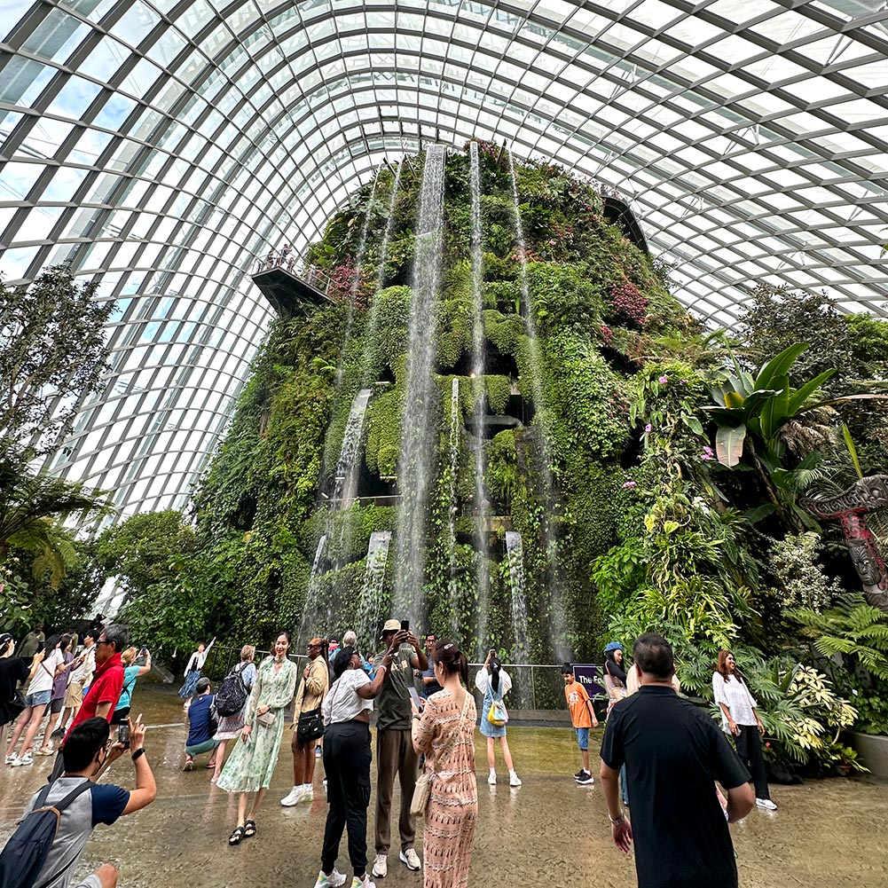 Gardens by the Bay Cloud Forest Waterfall Crowd