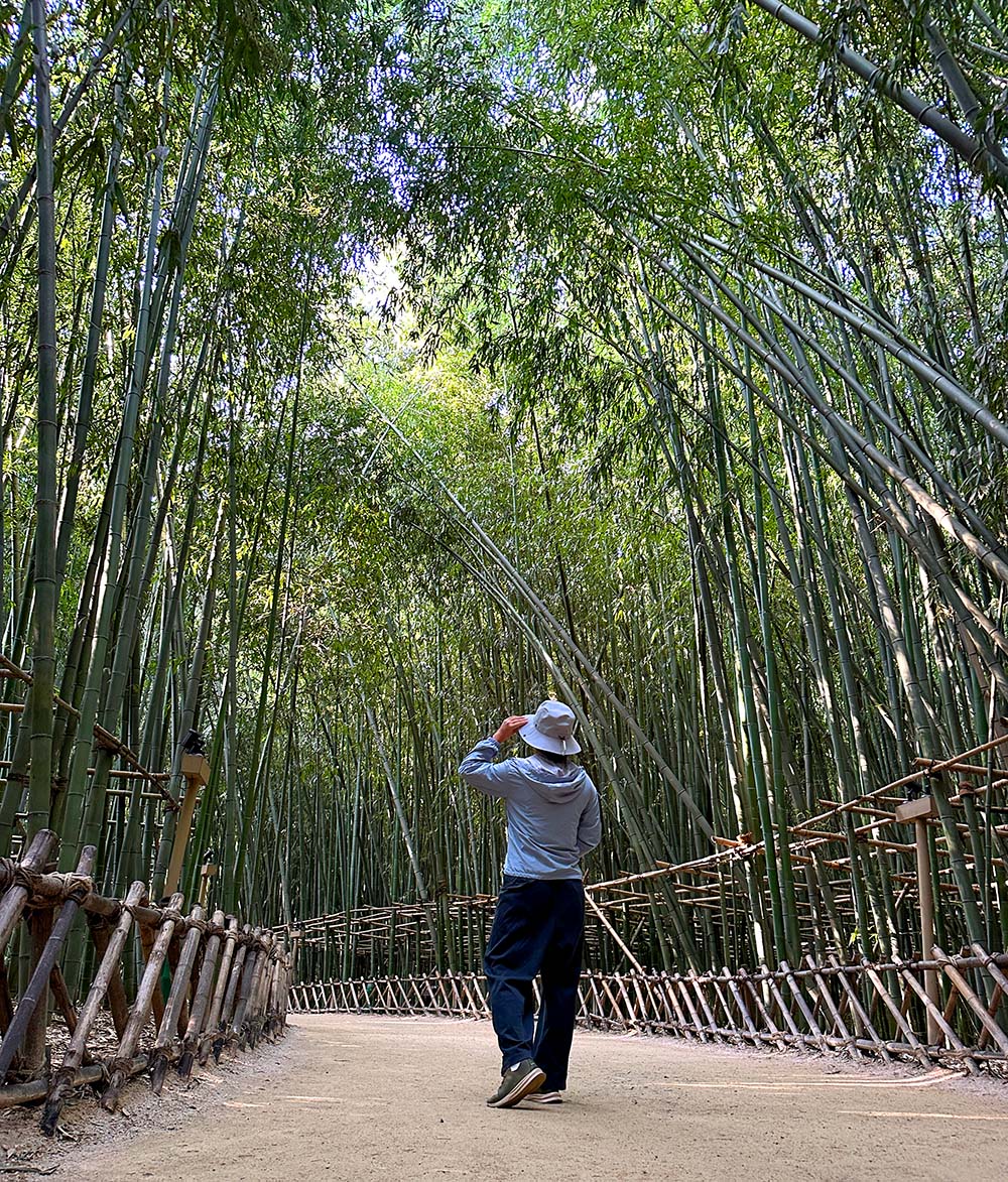 Ulsan Taehwagang Garden Bamboo Me