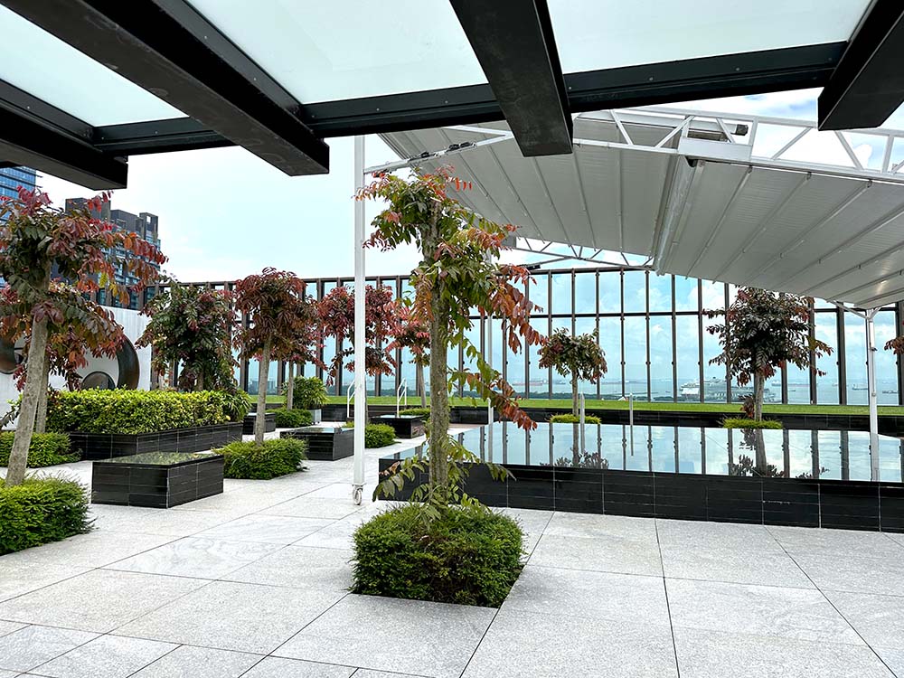 SCCC Singapore Chinese Cultural Centre Rooftop